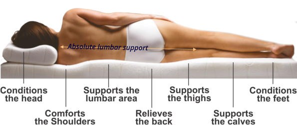 Absolute lumbar support